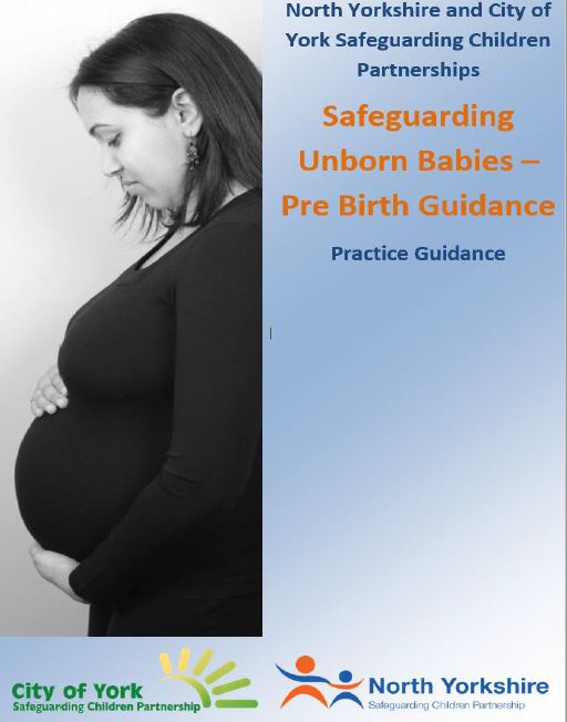 Download the Safeguarding Unborn Babies Practice Guidance